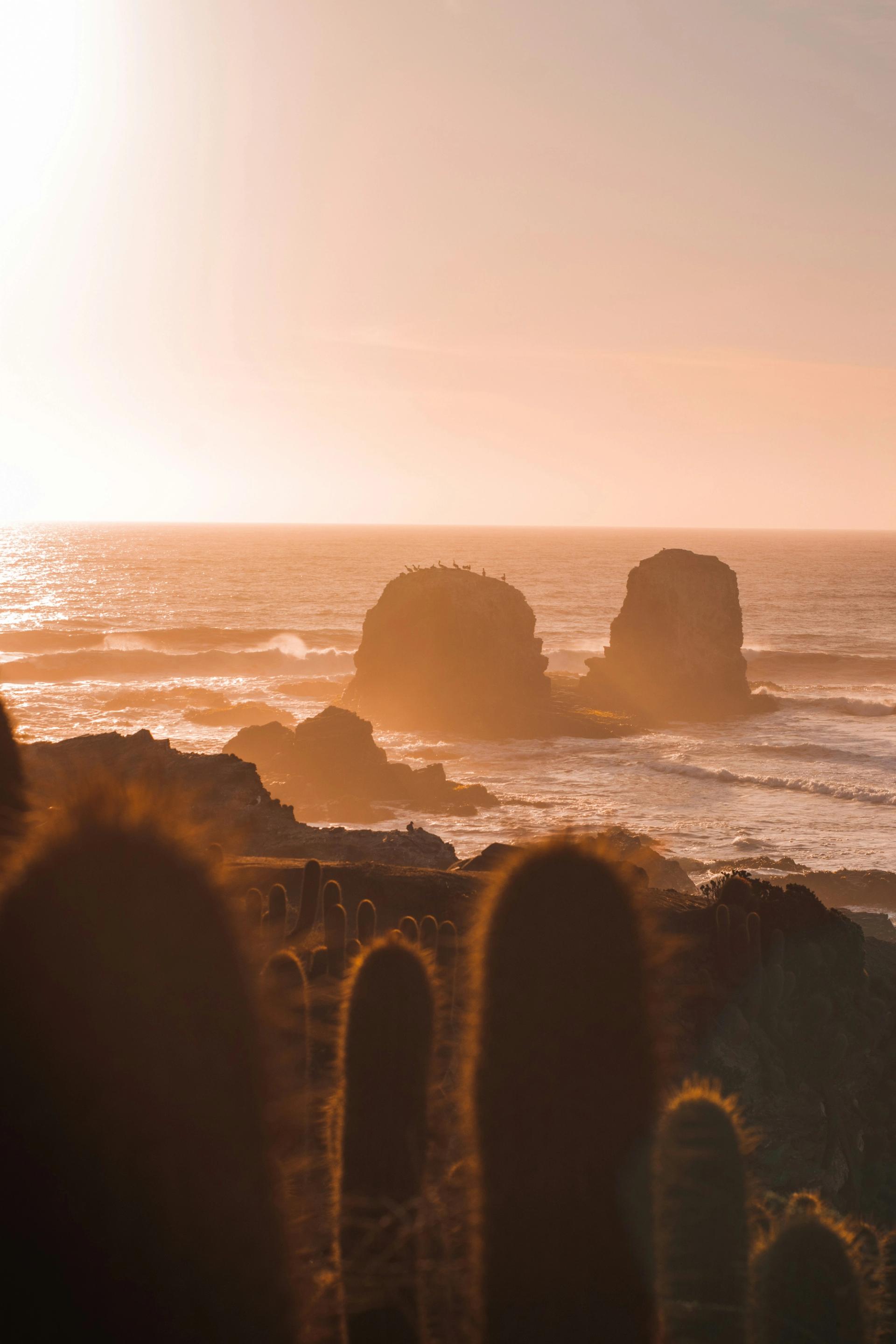 Pichilemu & Valparaíso