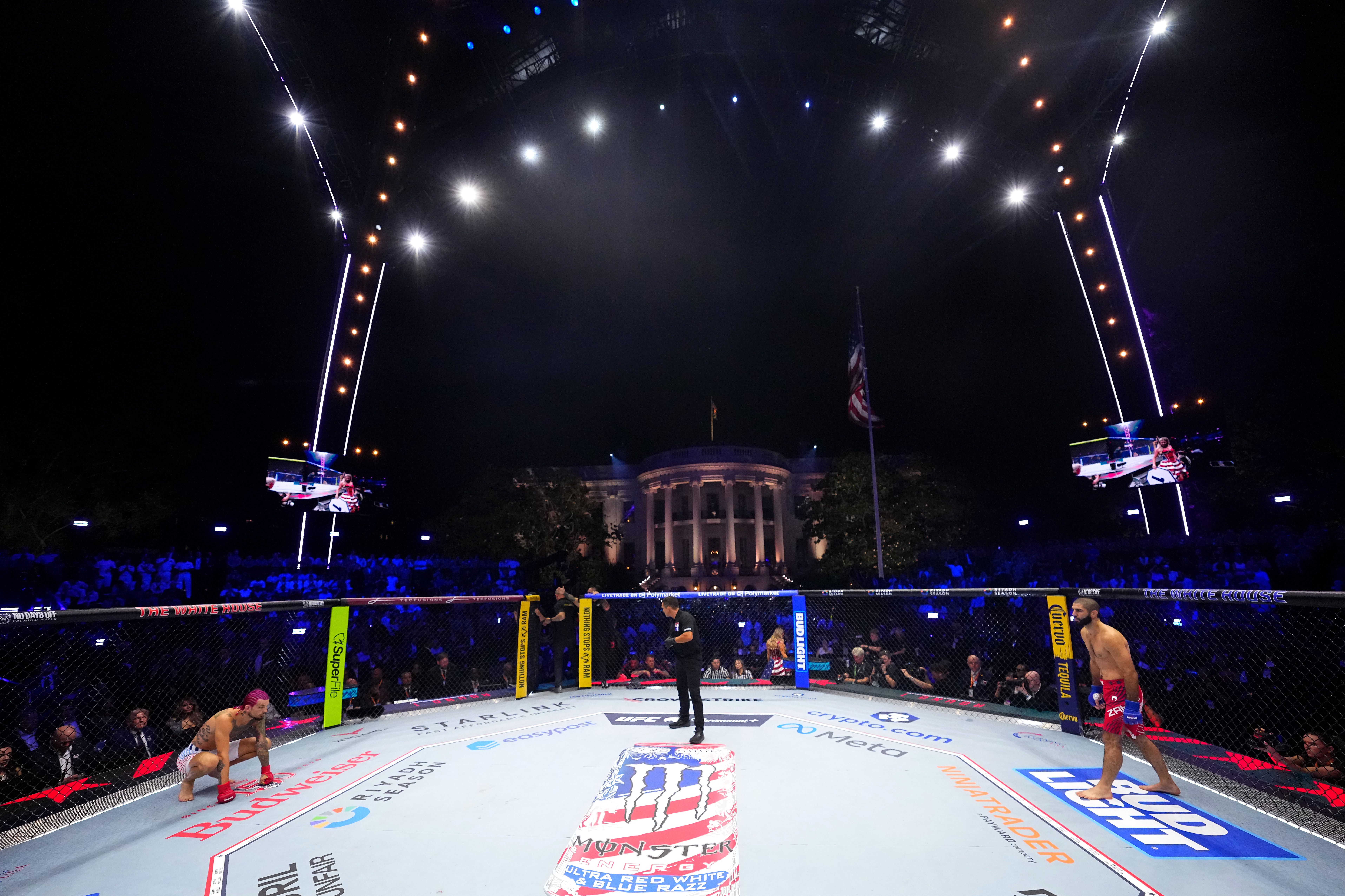 UFC 250 image
