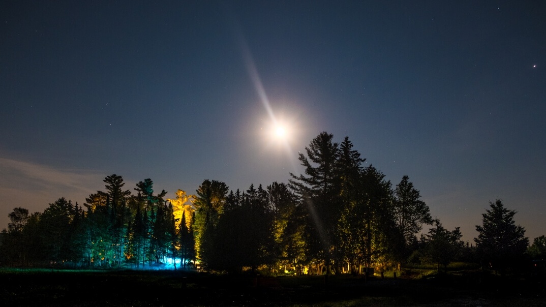 Forest at night with moon and stars