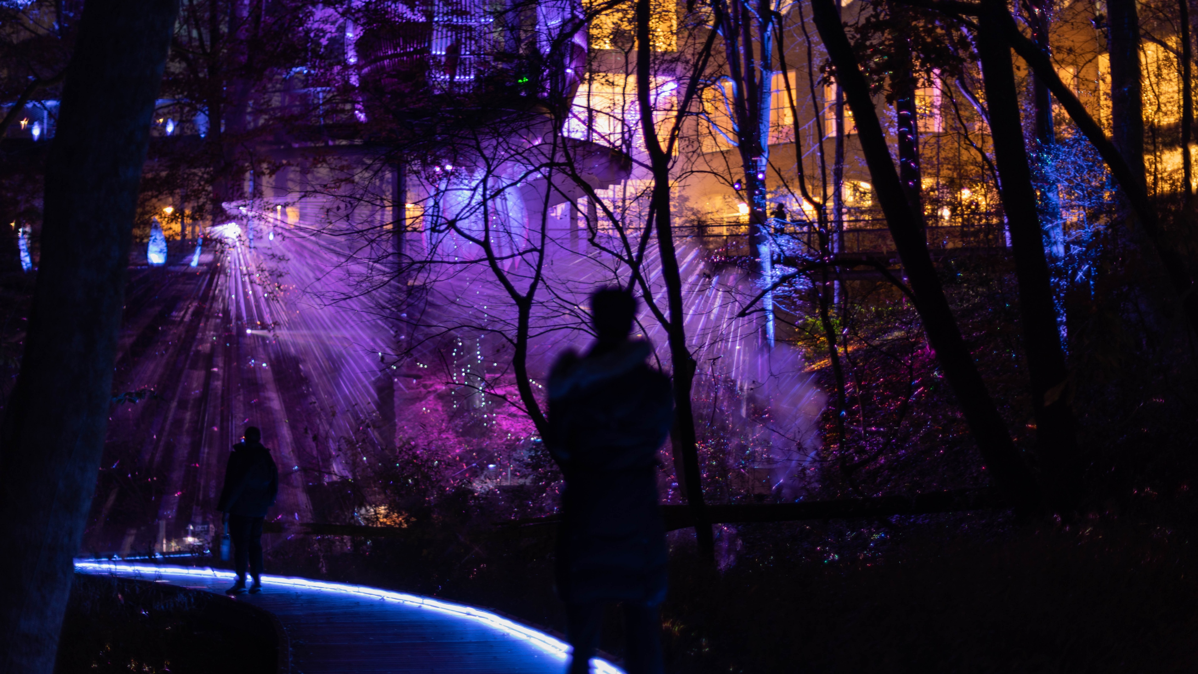 Person silhouetted in the foreground looking at purple lights and haze in a forest. There is a building in the background with amber lights.
