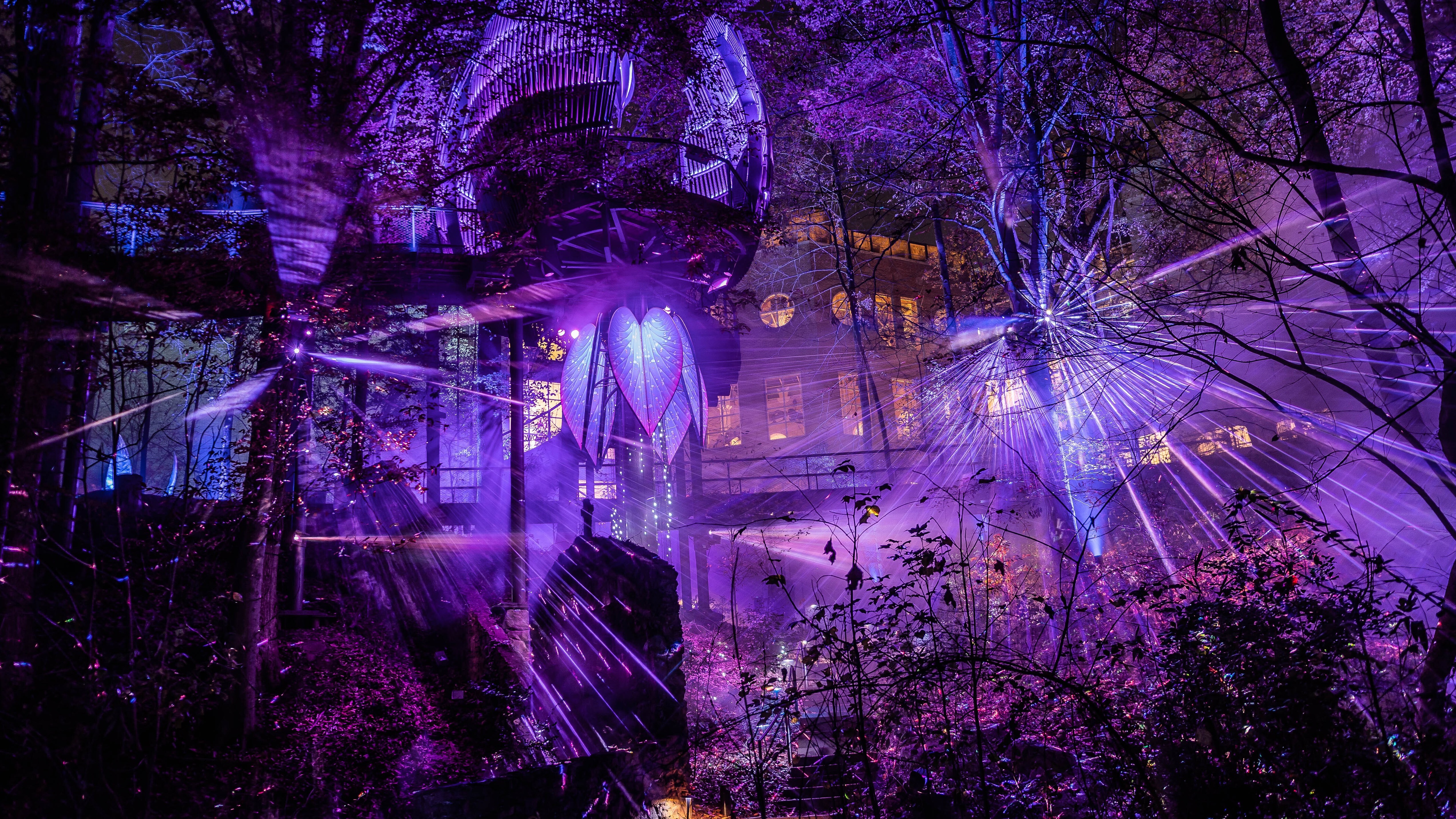 Purple lights and haze in a nighttime forest. There are large leaves with projection mapping in the center of the image and a dimly lit building in the background.