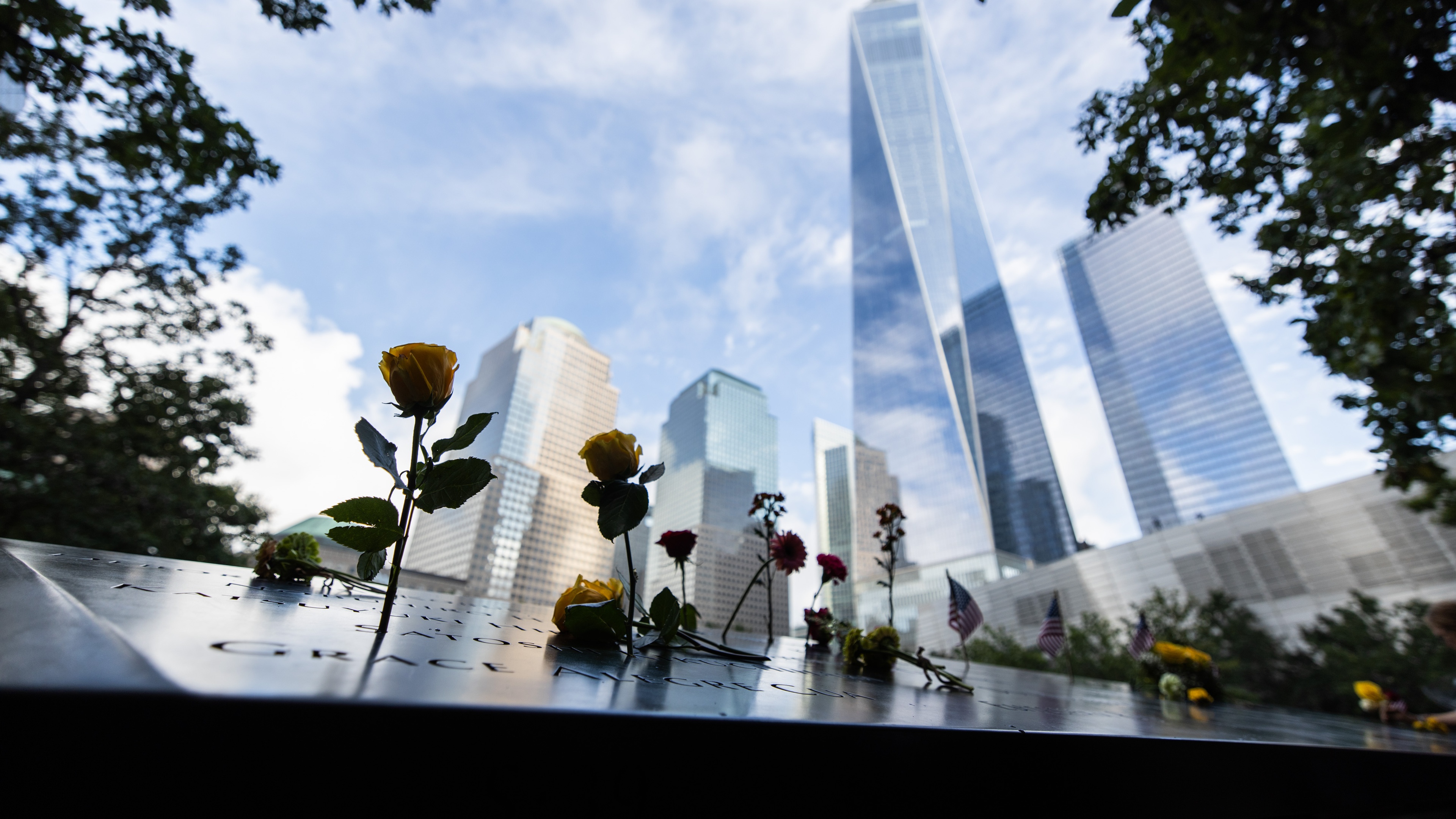 Roses at 9/11 memorial with NYC skyline in back