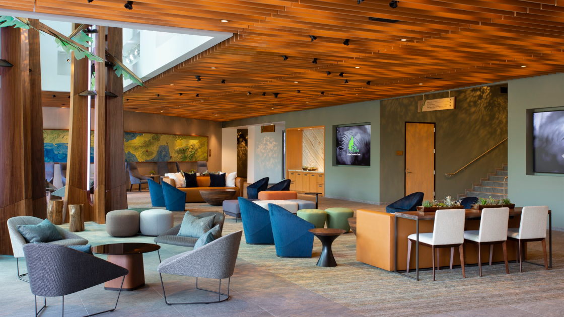open room with various chairs and sitting areas