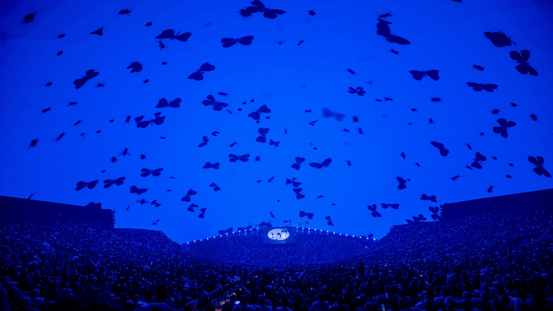 Huge LED screen container butterflies flying across blue backdrop with crowd at The Sphere Las Vegas