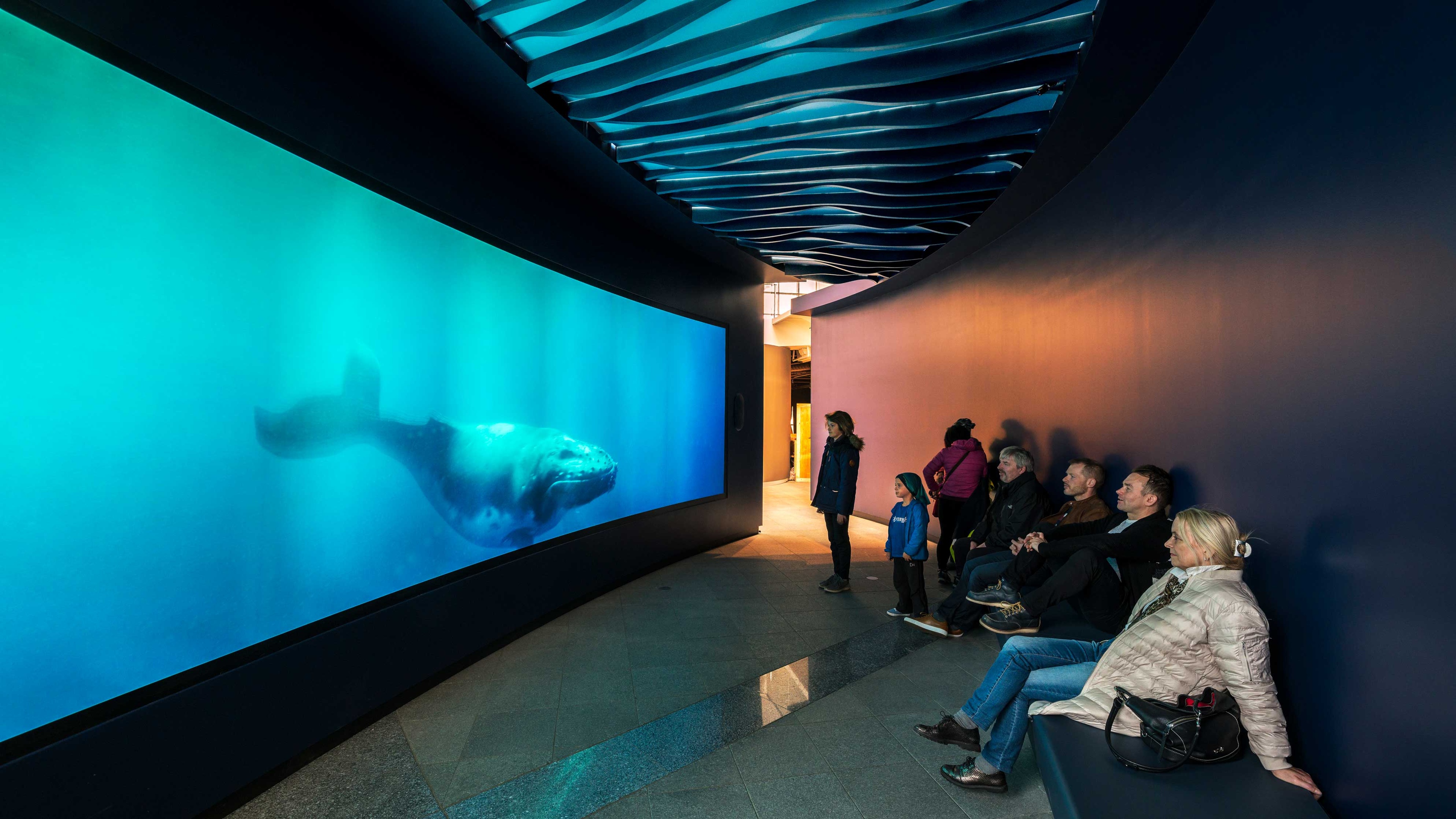 Museum guests looking at large LED screen with whale
