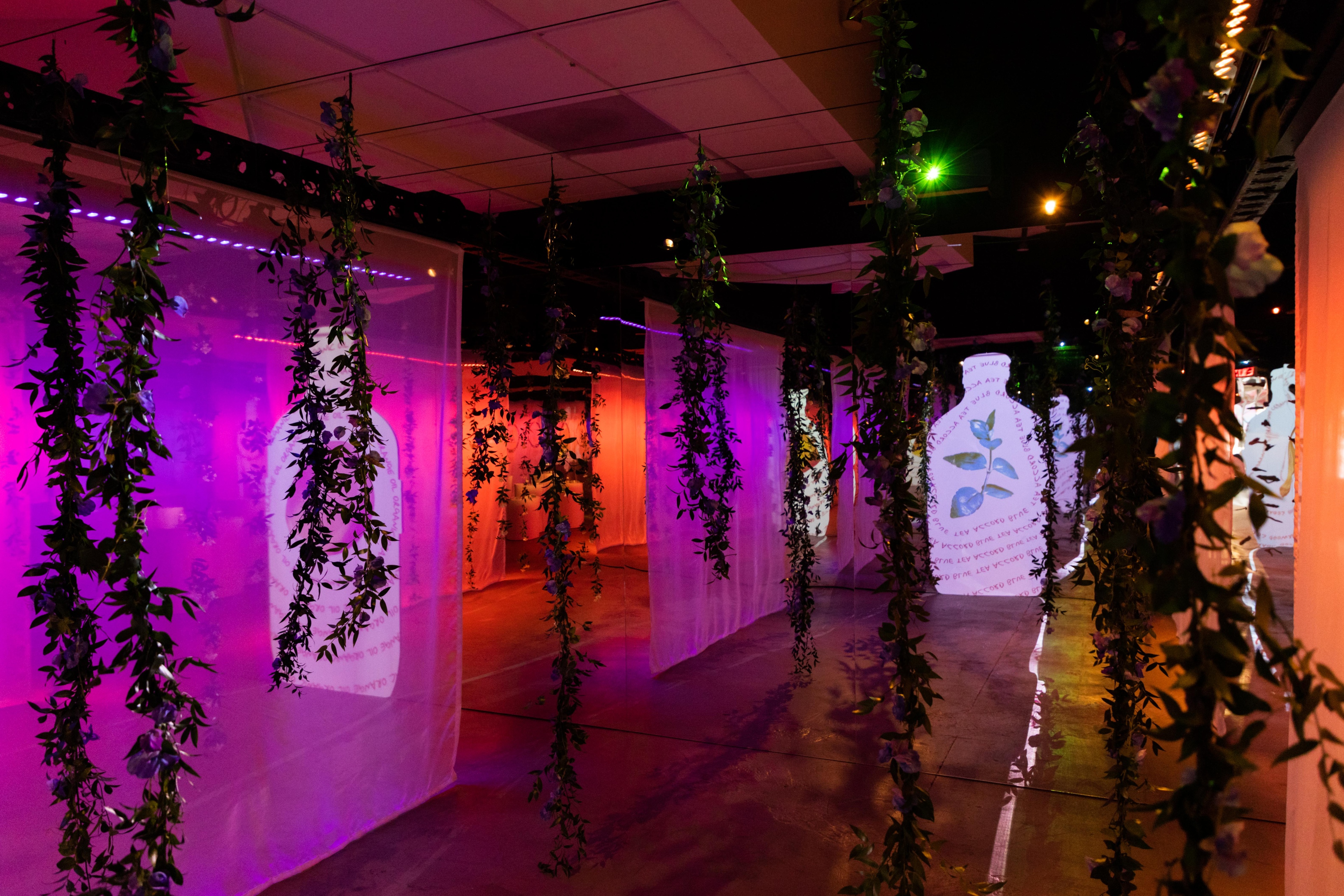 Room with pink and orange walls with ferns hanging from ceiling
