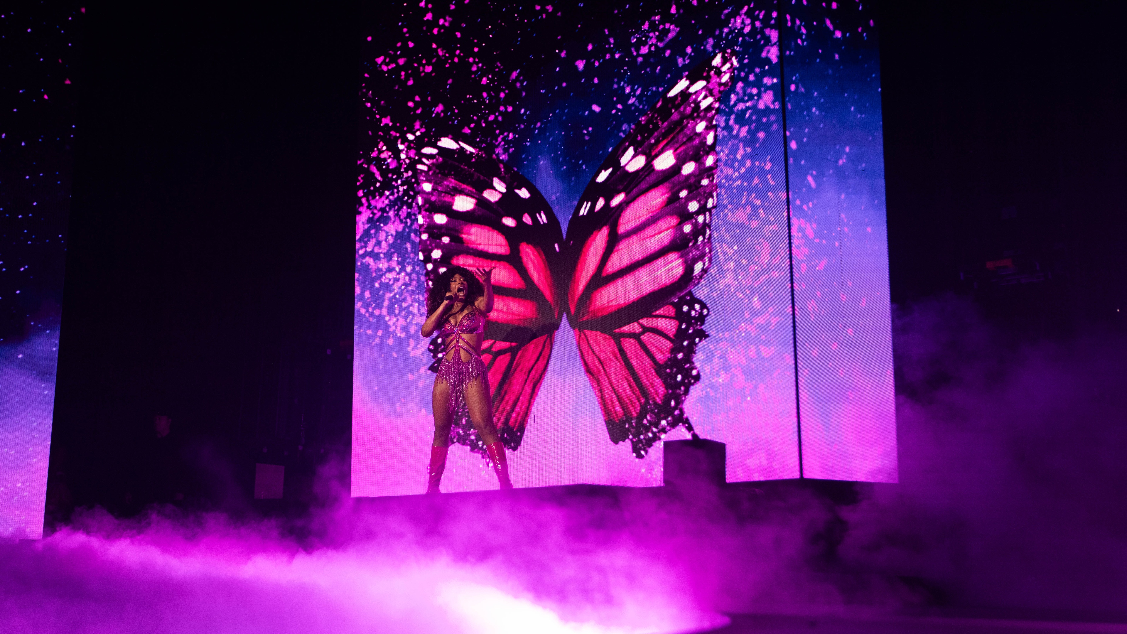 Megan thee stallion on stage with large pink butterfly on LED screen