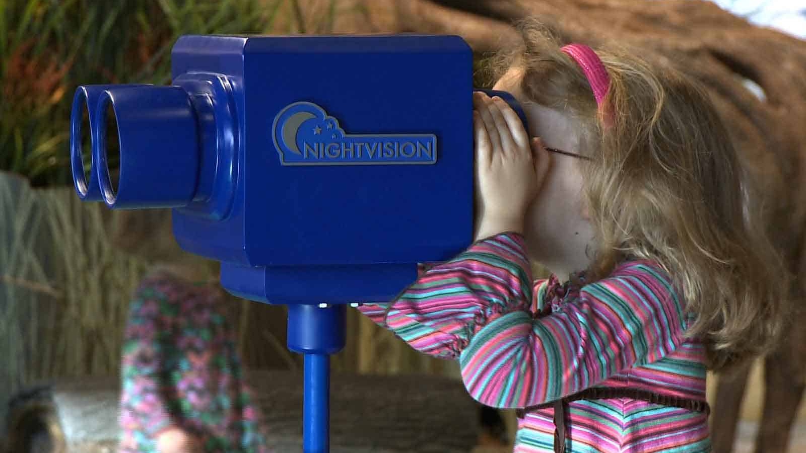 Child looking through binocular device
