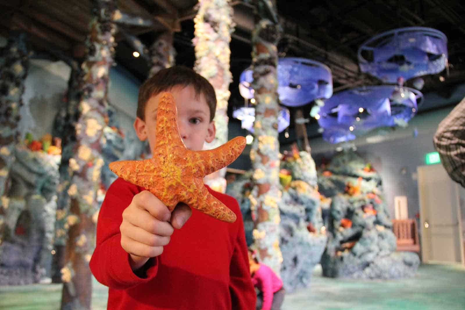 Child holding starfish in front of face