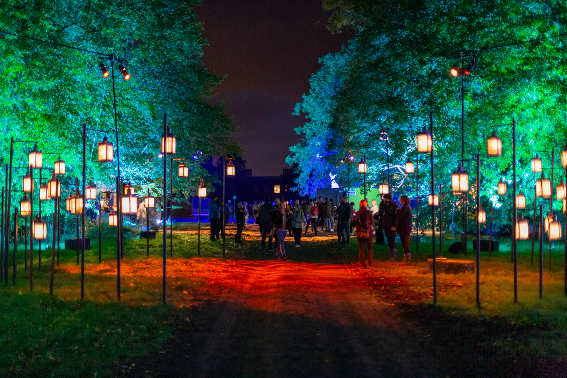 Harry Potter: A Forbidden Forest Experience people walking in an unpaved path surrounded by brightly lit trees and lanterns