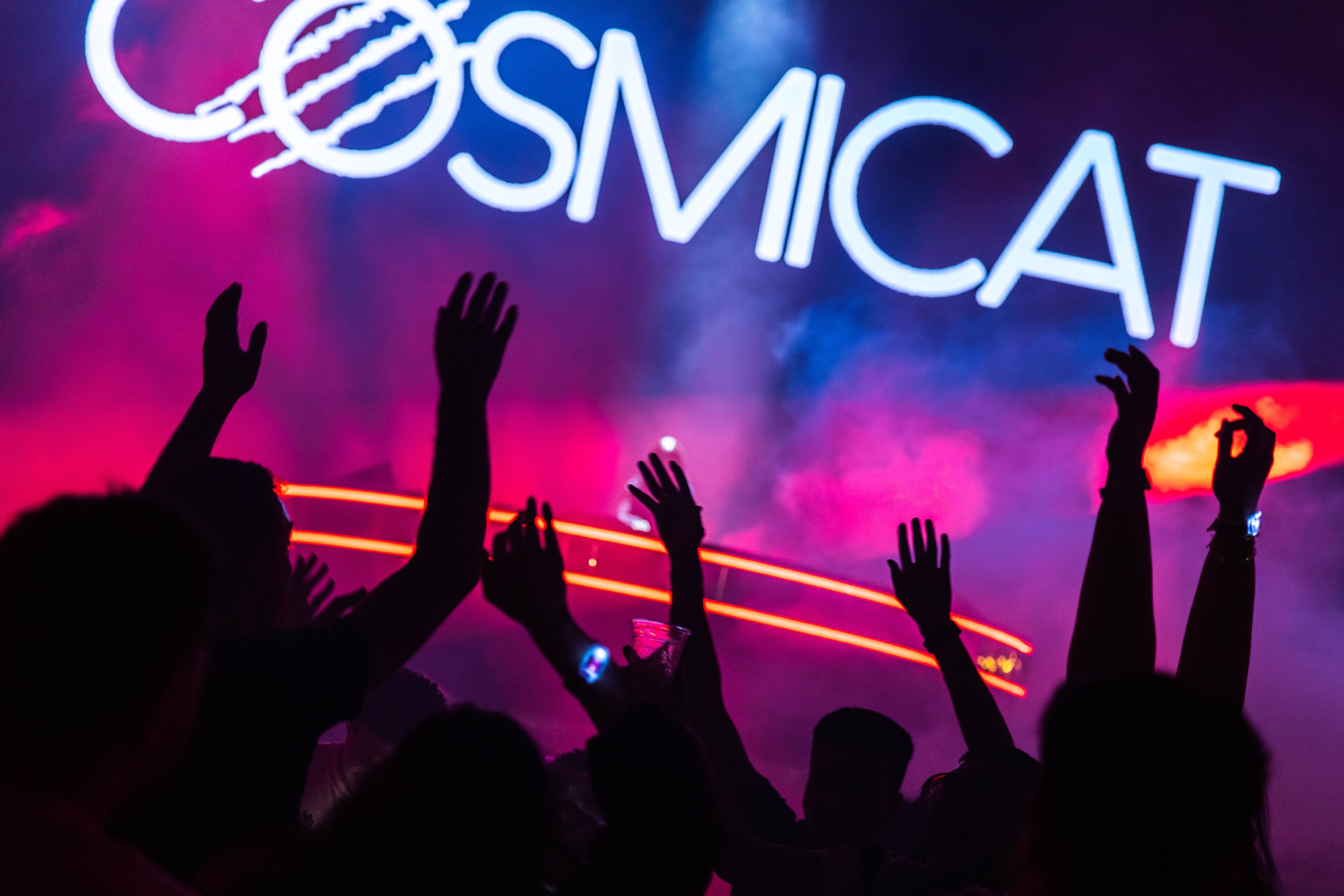 Aravia MDLBEAST close up of crowd silhouettes dancing to Cosmicat