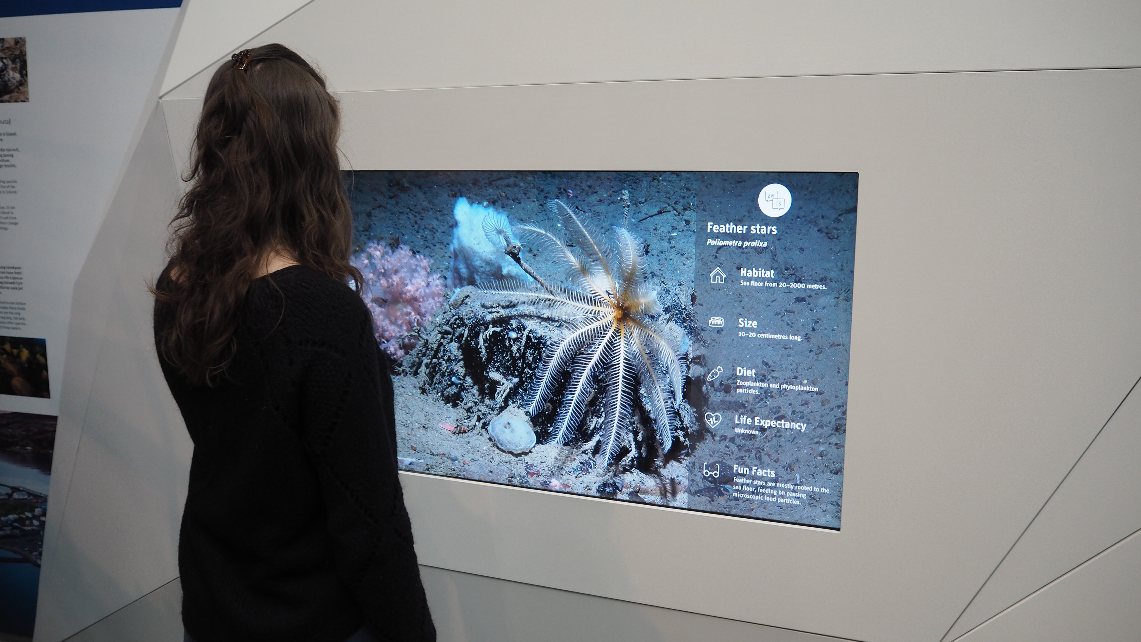 Woman with brown hair interacting with LED display with ocean fish on it