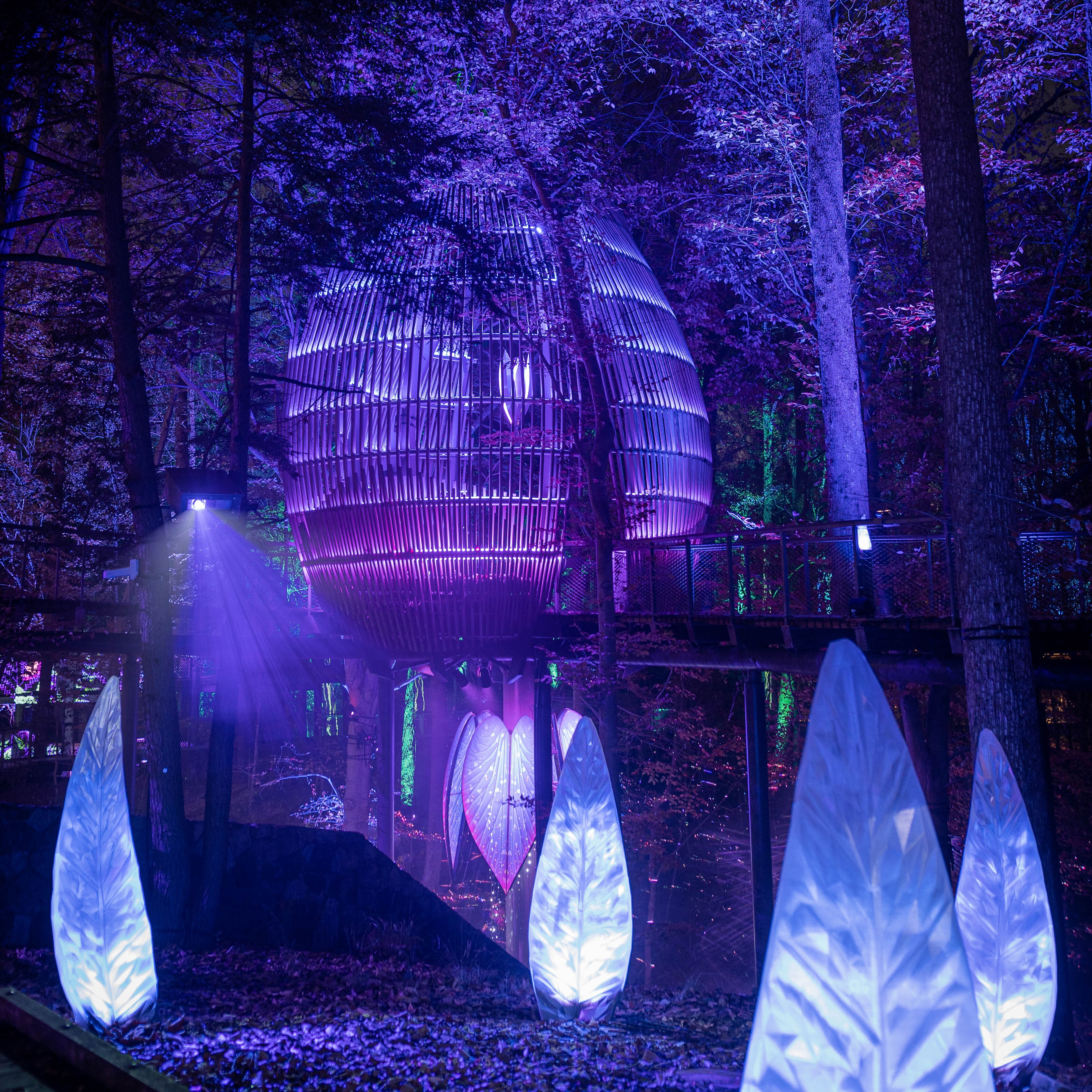 Glowing leaf sculptures and purple haze lighting