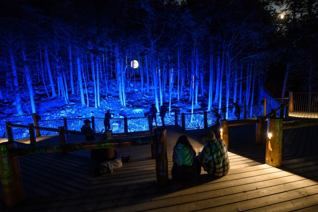Forest with blue lighting and guests sitting