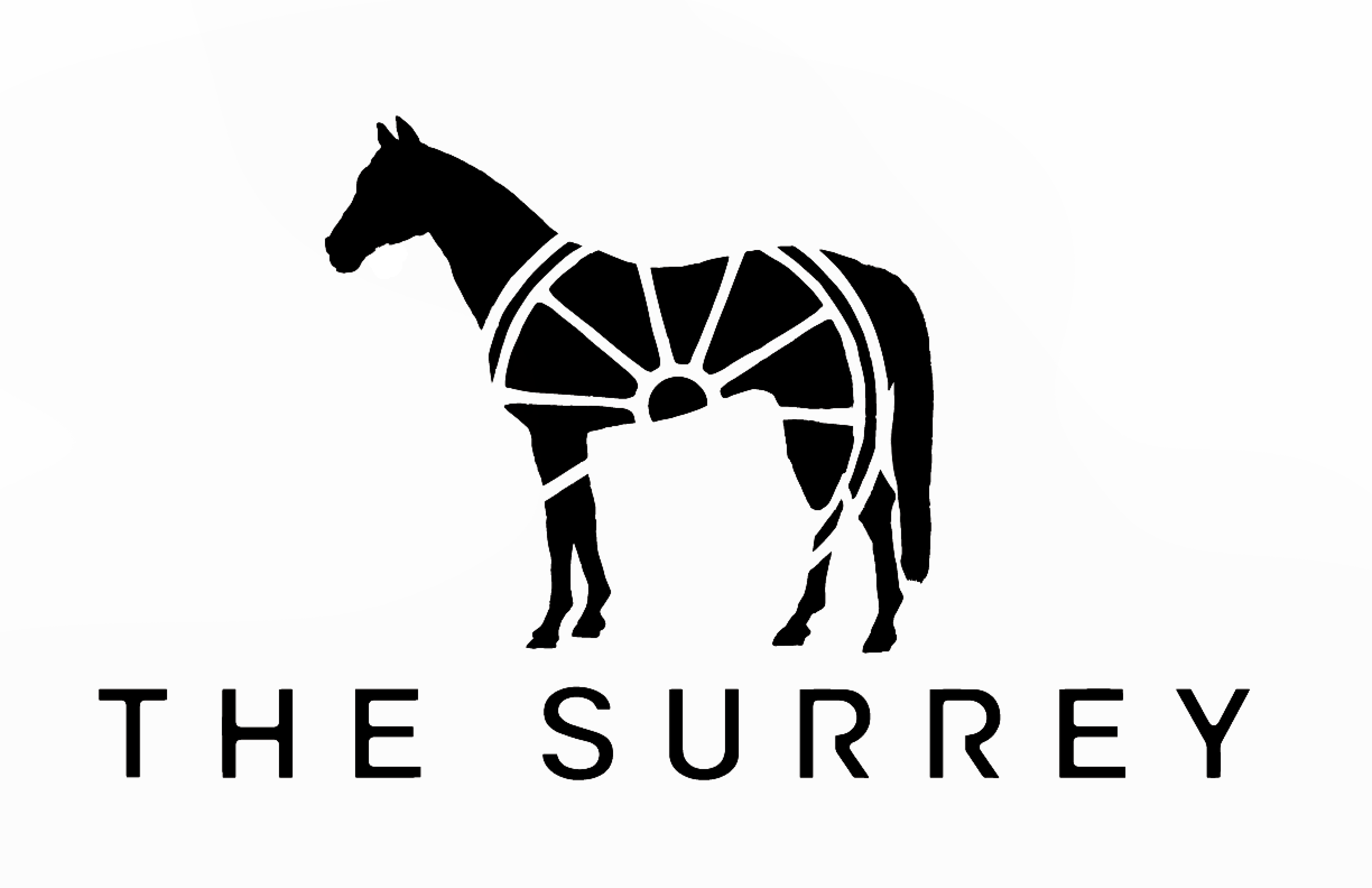 The Surrey Logo