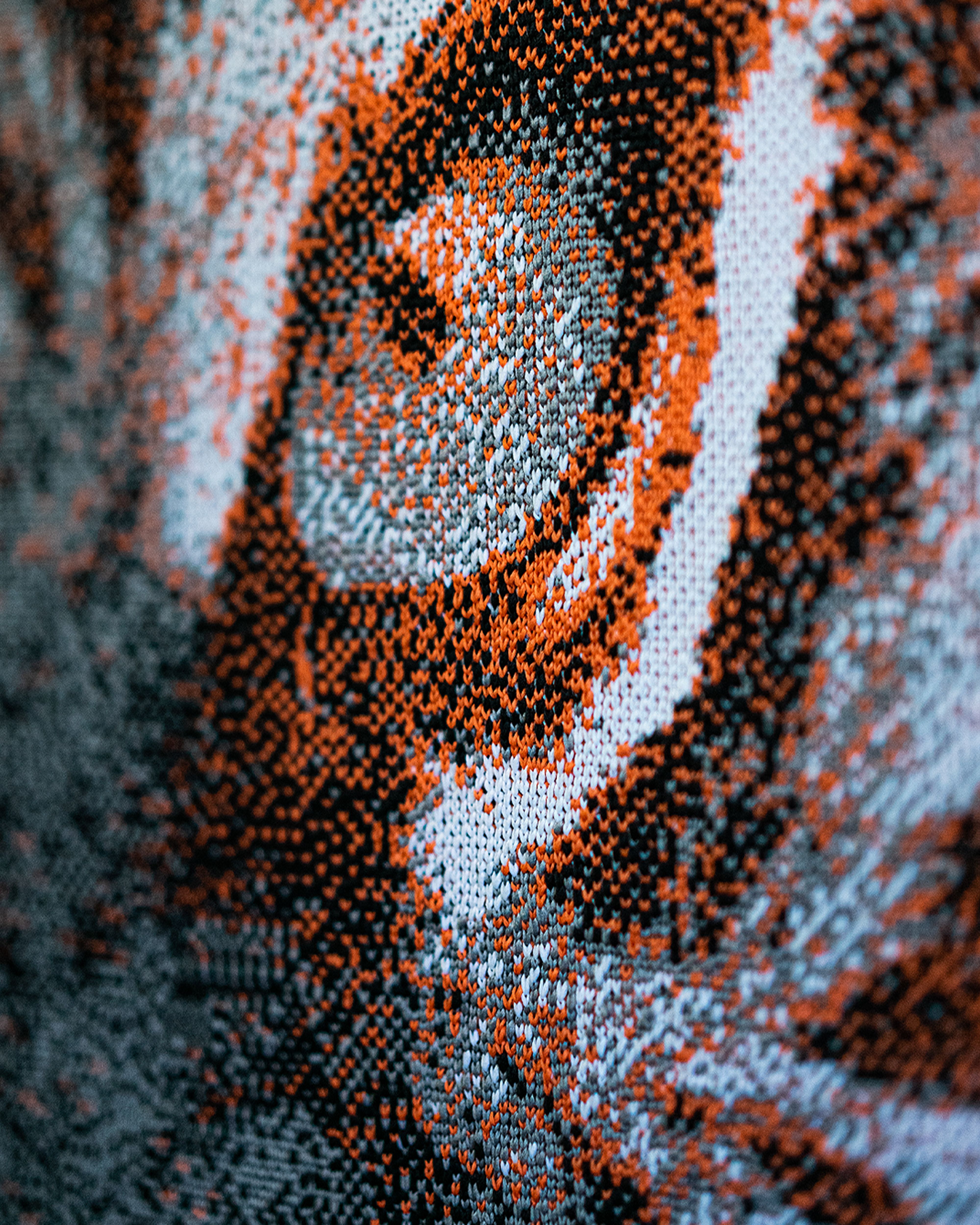 Wall Art - Tiger - Closeup