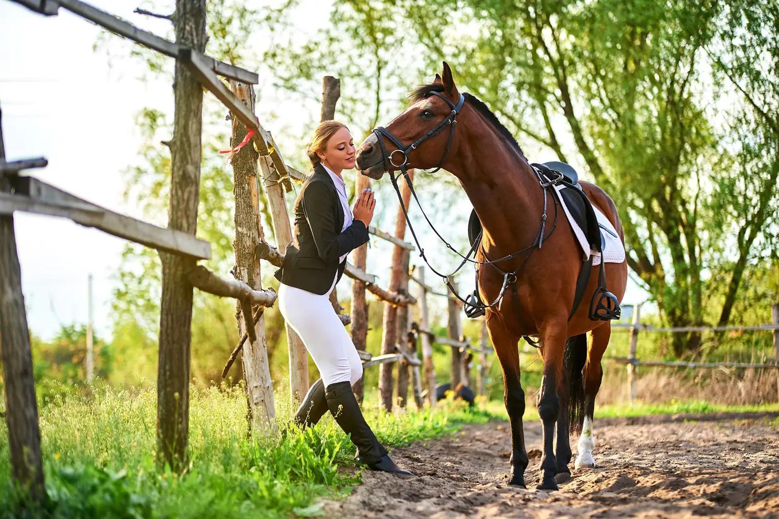A rider preparing her horse in the barn in soft morning light