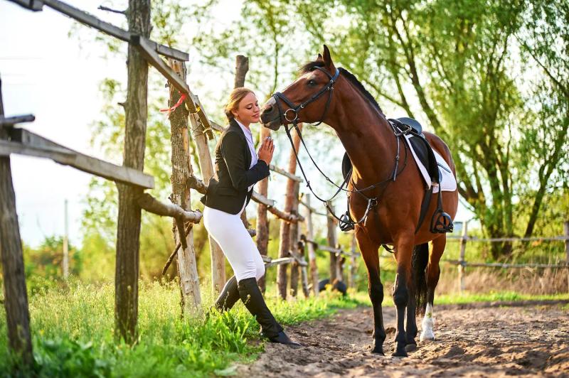 A rider preparing her horse in the barn in soft morning light