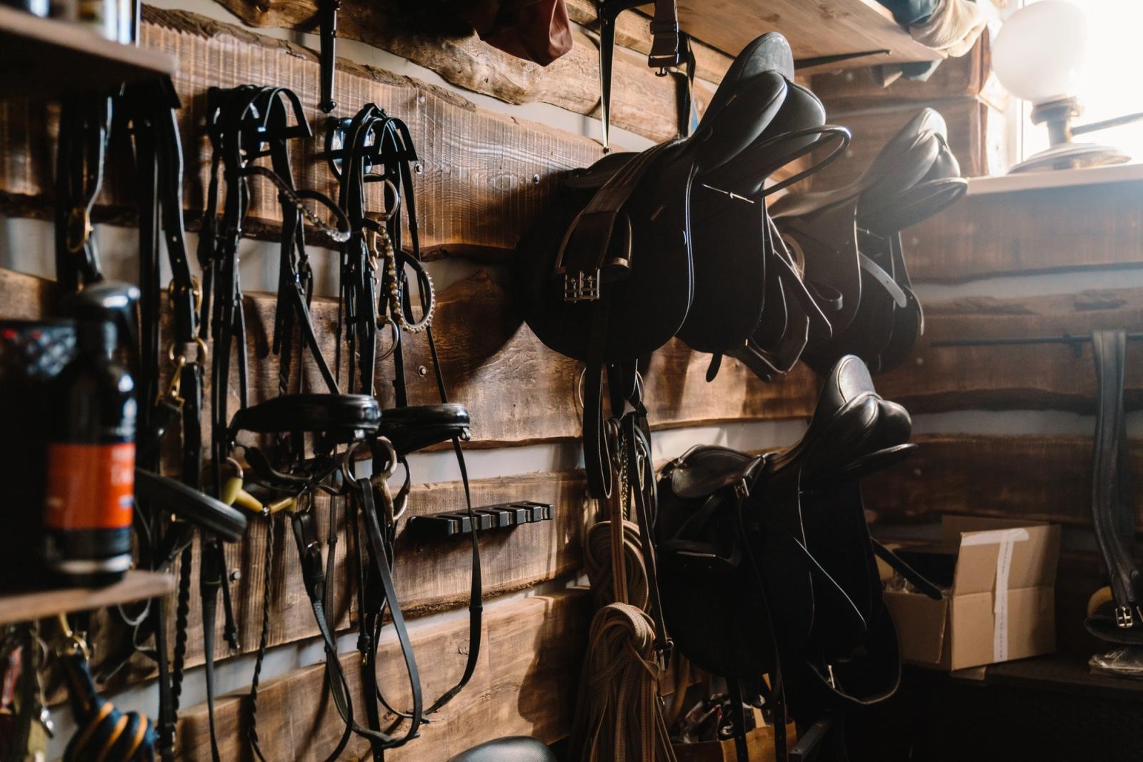 The Real Cost of Horse Tack: What to Expect and Where to Spend