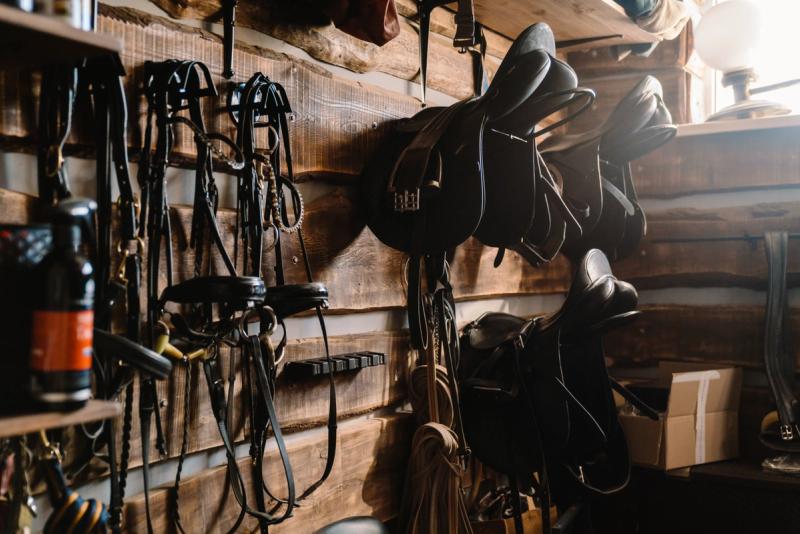 The Real Cost of Horse Tack: What to Expect and Where to Spend