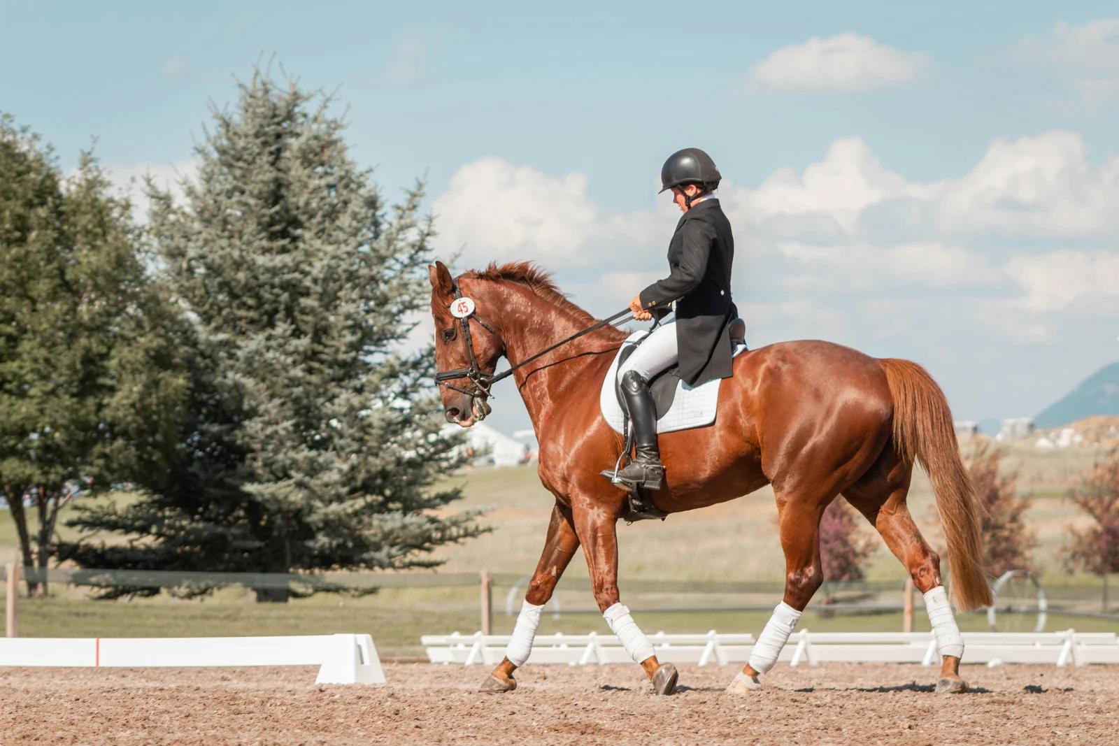 A dressage rider in white full-seat breeches and tall black boots riding a chestnut horse in an outdoor arena, the leg shown in profile from seat to ankle