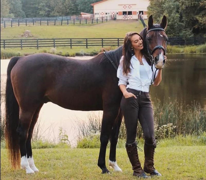An Arabian horse showing its distinctive dished profile