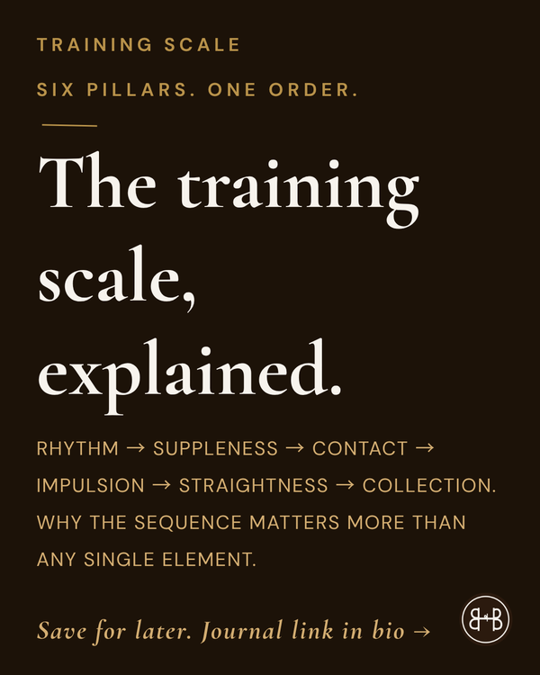 The training scale, explained