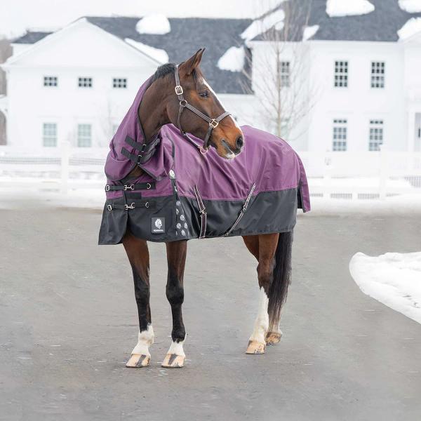 Thunder 360 Detachable Neck Light Weight Turnout Blanket 100g