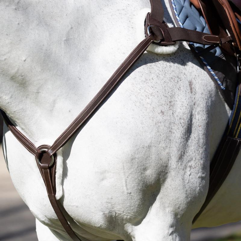 Equinavia Saga 5-Point Breastplate — Chocolate Brown