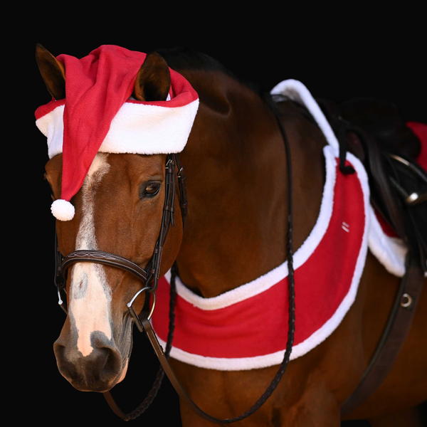 Santa Horse Cap & Reindeer Cap