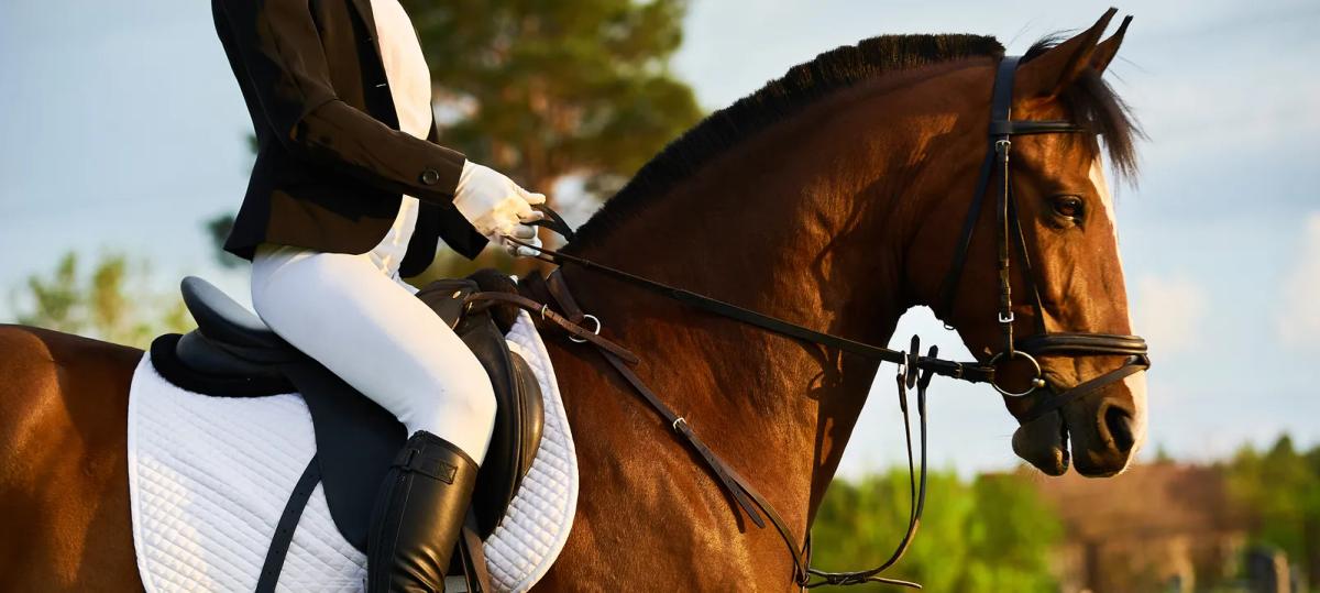 An equestrian rider tacked up and ready in the arena