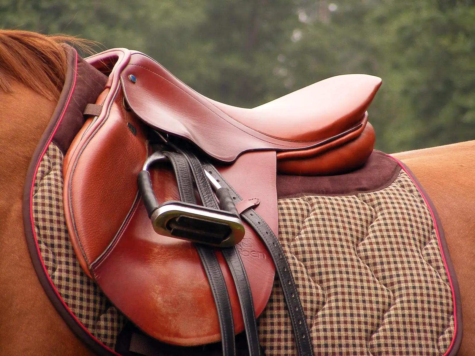 A tan leather English saddle and checked saddle pad on a chestnut horse, the warm leather tone matched to the horse's coat color