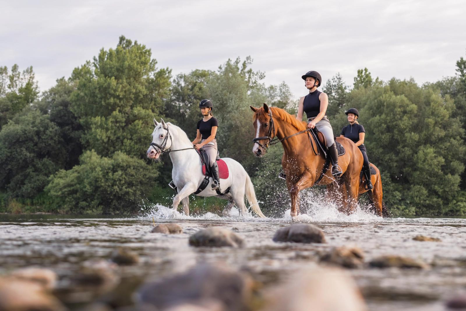 Three helmeted riders crossing a shallow river on white and chestnut horses, water splashing around the horses' legs with green trees along the far bank