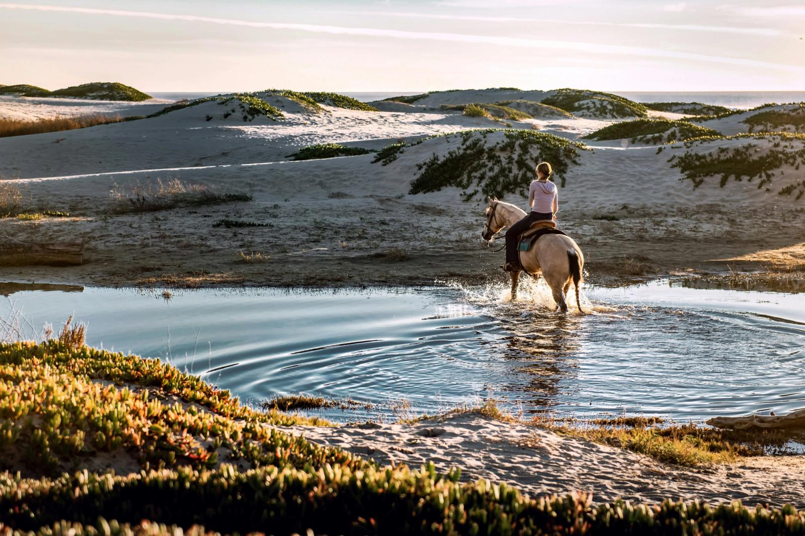 What to Know Before Your First Trail Ride