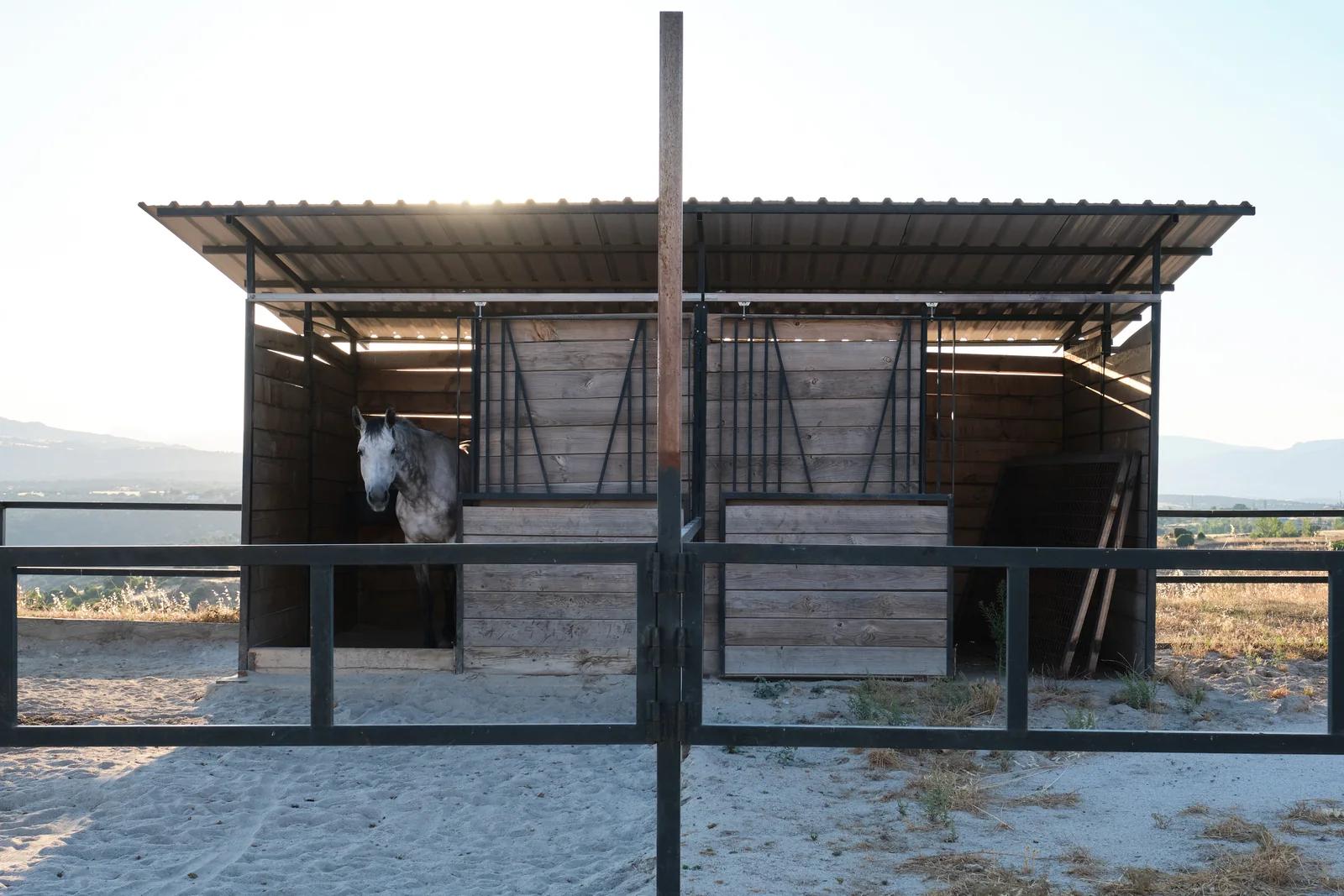 A grey horse looking out from an open timber field shelter with a metal roof, set behind a dark rail fence on dry sandy ground with hills beyond