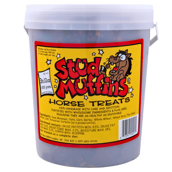 Horse Treats 60 oz Bucket