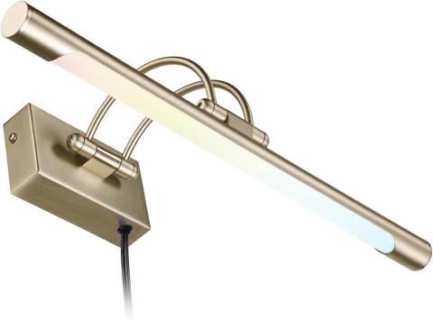 LEONLITE 3CCT dimmable LED picture light in an antique brass finish