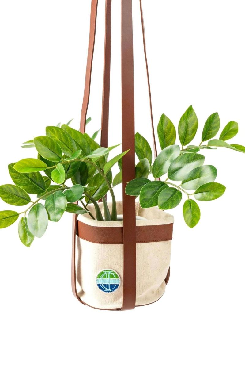 Ivy Cove Point Dume Hanging Planter