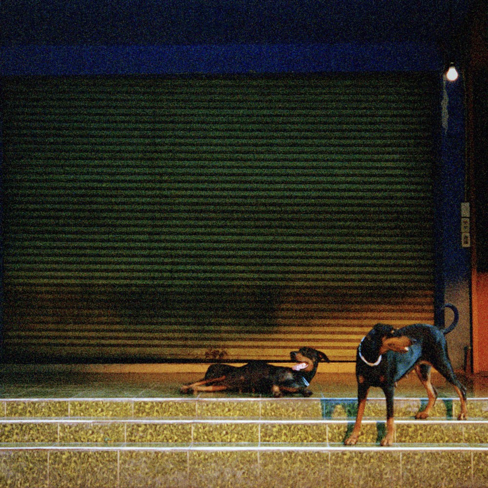 Capa de Knight In Shining Prada