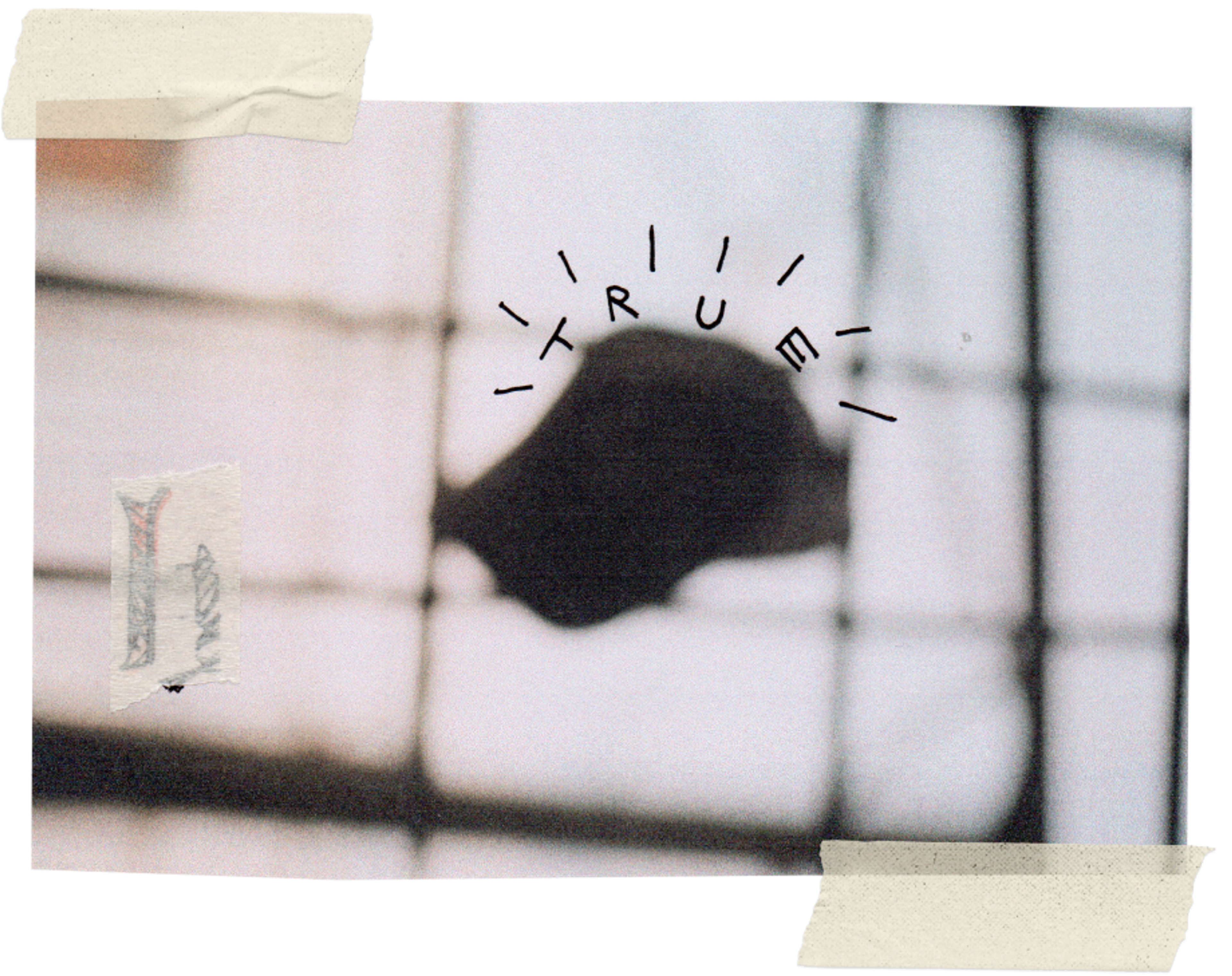 Creator Studio - Image