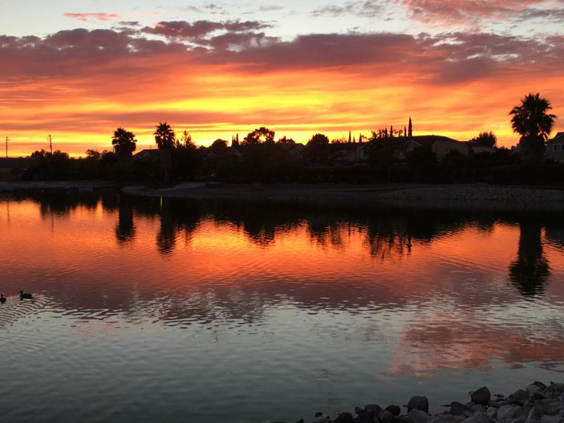 Hidden Lake Park: Milpitas’ Little Hidden Gem for a Peaceful Walk