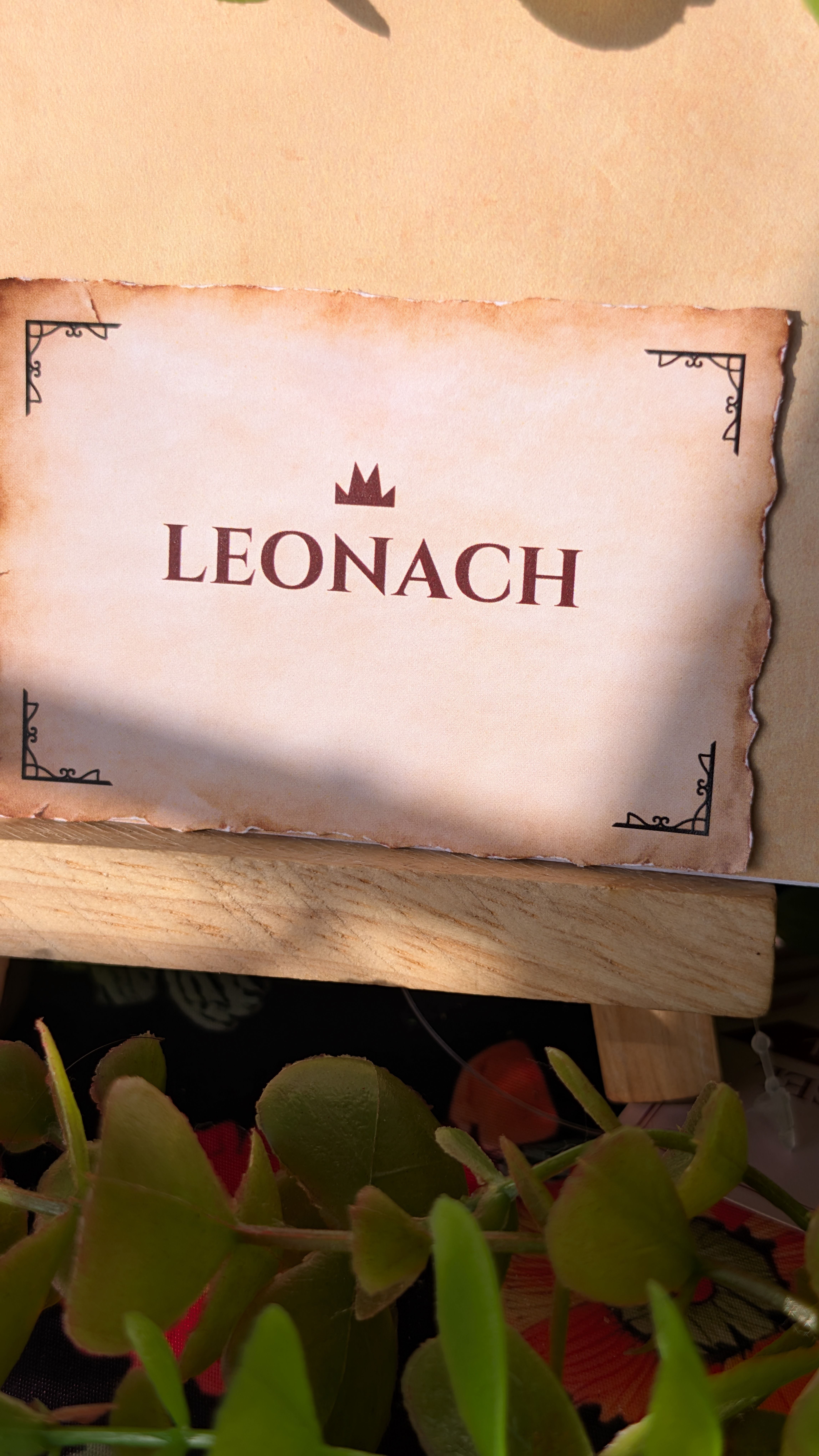 Sword- Leonach