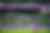 Austin FC 