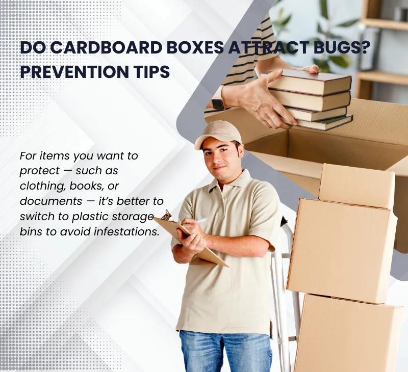 Do cardboard boxes hold or attract bugs?