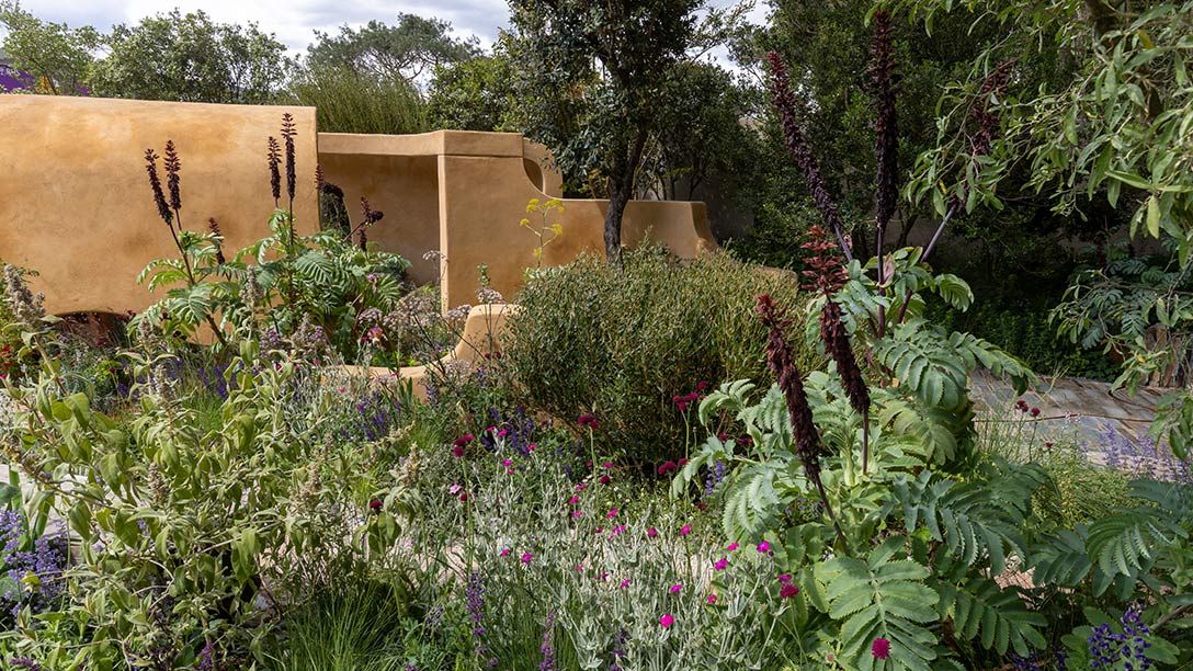 Lady Garden Foundation 'Silent No More' Garden at RHS Chelsea 2026
