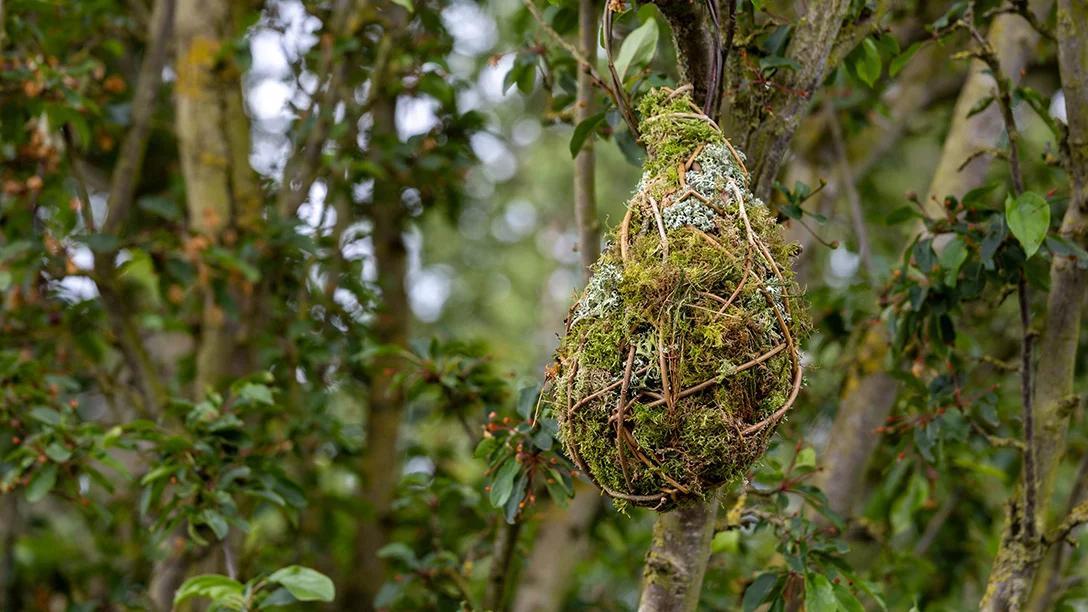 The Killik & Co ‘A Seed in Time’ Garden