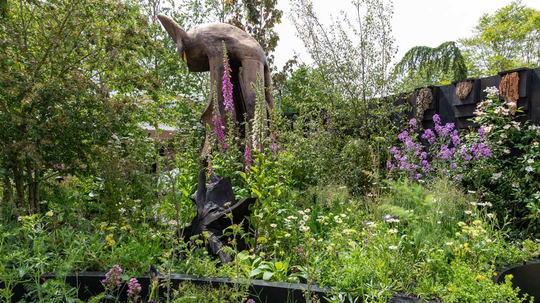 The Bat Conservation Trust's Nocturnal Garden
