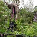 The Bat Conservation Trust's Nocturnal Garden