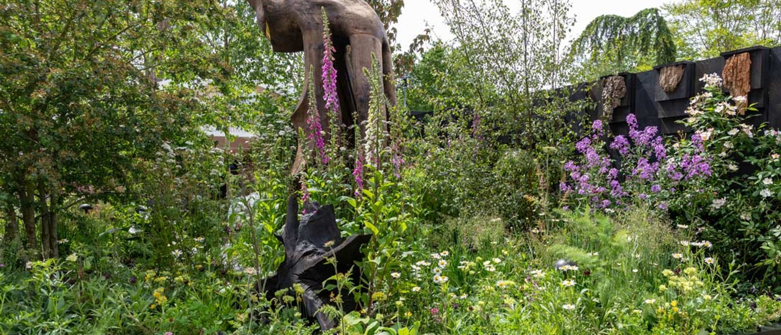The Bat Conservation Trust's Nocturnal Garden