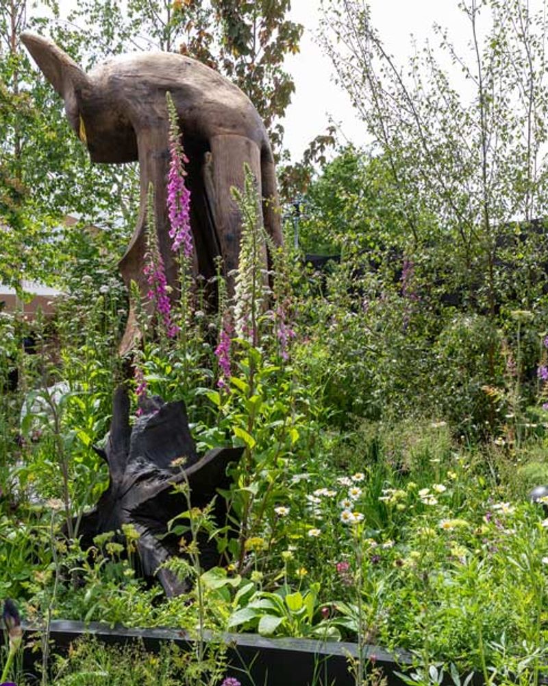 The Bat Conservation Trust's Nocturnal Garden